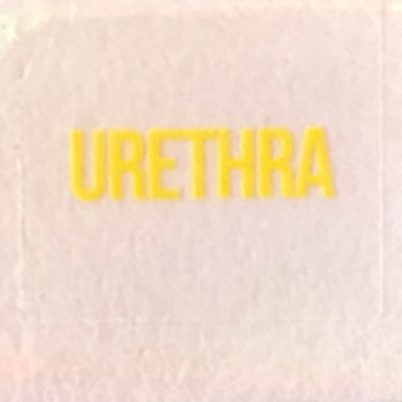 Jeffree Star Supreme Lip Gloss - Urethra New in Box - Picture 2 of 2